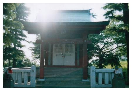 ������̑D����׎Ђƒ���