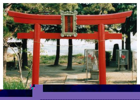 ����ׂ���̒����A�w��͑�����