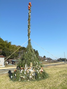 �����̂���