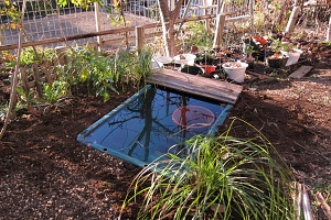 ���Ɛ��K�}�r