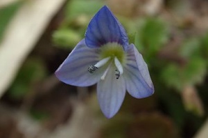 �I�I�C�k�m�t�O��