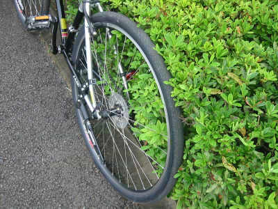 ���^�C���i700*35C)