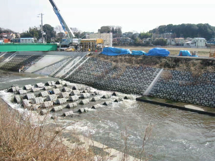 �ڐV������