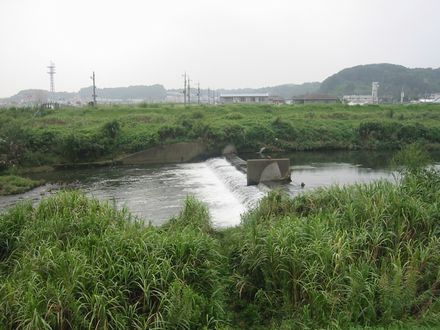 ���֖̊�A�����̉�