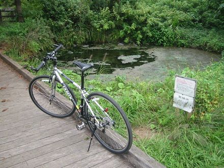 �����̐�