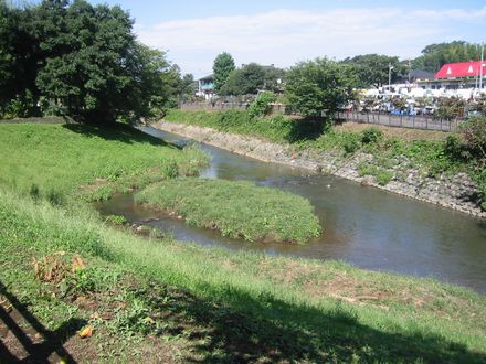 �ߎ��R�H�@�ɂ��e�����