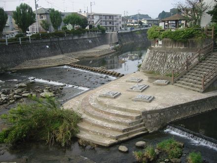 �����������Ă���e�����