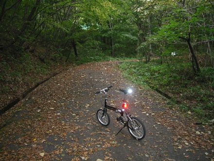 �ߐ{�����ѓ�