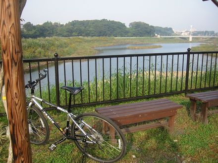 �������̑�K�͗V���n