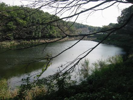 ��̐X�����̑�r