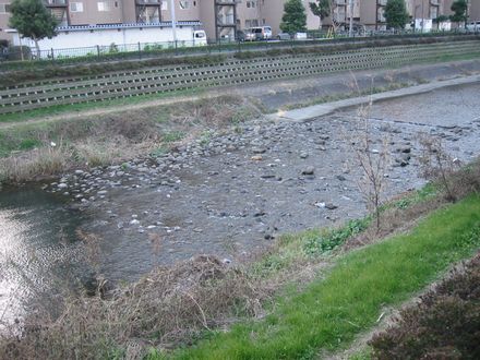 ���R�^�ΘH�H