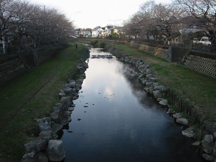 ���������̎��R���