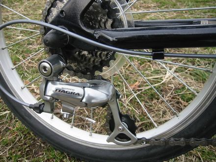 �e�B�A�O��