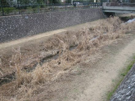 �ꋉ�͐�u���v