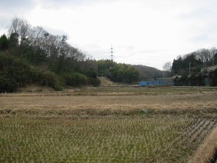 ����̗��R