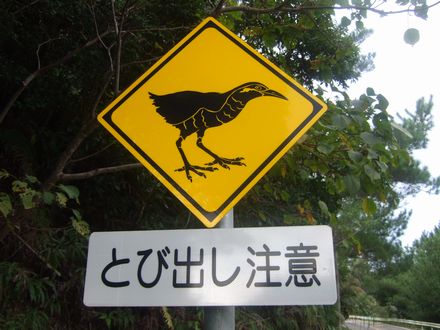 ���΂�ŗL�W��