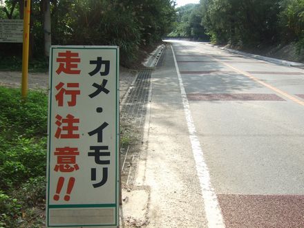 ������ǂ����������Ŕ�