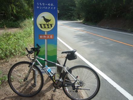 �����ꂳ��